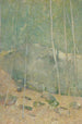 Dans les bois du Maine - Emil Carlsen — weergave van het kunstwerk