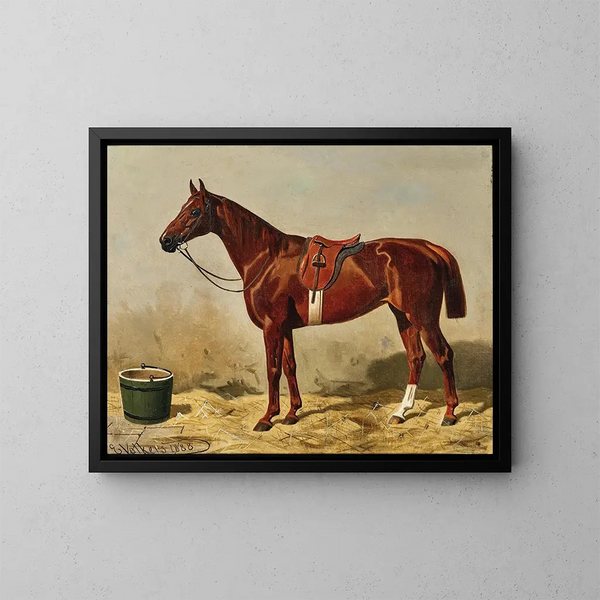 Thoroughbred English Horse - Emil Volkers — framed artwork on a wall