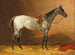 Zadelpaard - Emil Volkers — weergave van het kunstwerk