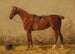 Alezan sellé dans l'écurie - Emil Volkers — weergave van het kunstwerk