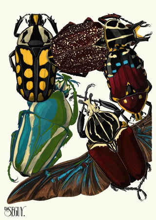 EmileAllain Sguy - Insectes Pl03.webp