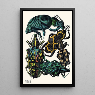 EmileAllain Sguy - Insectes Pl06.webp