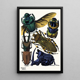EmileAllain Sguy - Insectes Pl07.webp