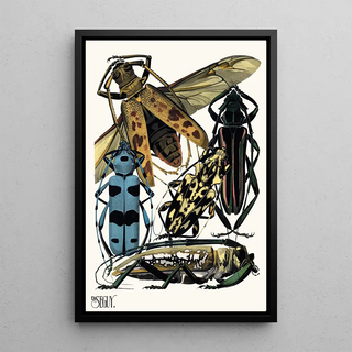 EmileAllain Sguy - Insectes Pl14.webp