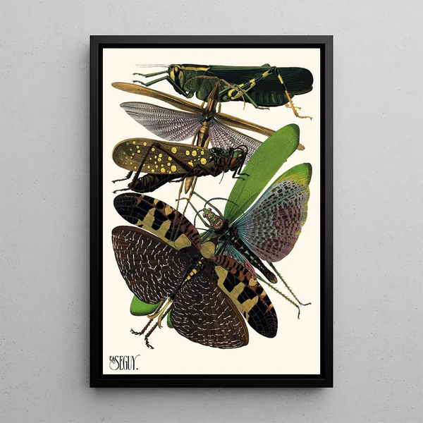 EmileAllain Sguy - Insectes Pl19.webp