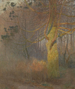 Emile Claus - Tree in the sun.webp