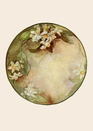 Emma L Bigelow - Plate Orange Blossoms.webp