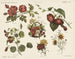 Bloemen - Emrik Binger — weergave van het kunstwerk