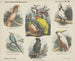 Vogels van Klimt - Emrik Binger — weergave van het kunstwerk