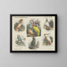 Vogels van Klimt - Emrik Binger — ingelijst kunstwerk aan de muur