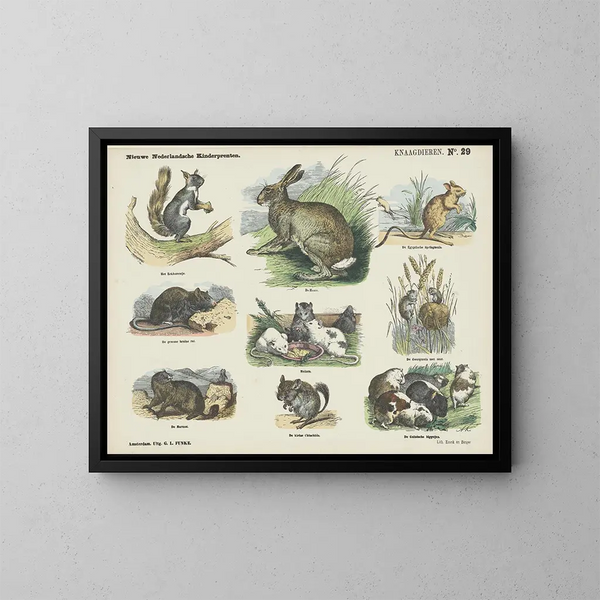 Rongeurs - Emrik Binger — framed artwork on a wall