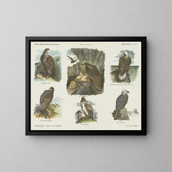 Roof Birds - Emrik Binger — framed artwork on a wall