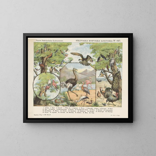 Birds of prey and singers - Emrik Binger — framed artwork on a wall