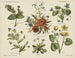 Bloemenvelden - Emrik Binger — weergave van het kunstwerk