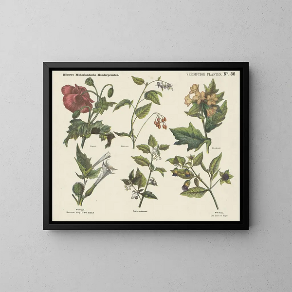 Toxic Plants Painting - Emrik Binger — framed artwork on a wall
