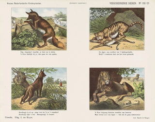 Verdwenen dieren - Emrik Binger — weergave van het kunstwerk