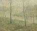 Ochtendmist - Ernest Lawson — weergave van het kunstwerk