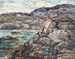 Kust rotsachtig van Nova Scotia - Ernest Lawson — weergave van het kunstwerk