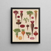 Beets - Ernst Benary — framed artwork on a wall