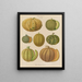 Melons Painting - Ernst Benary — framed artwork on a wall
