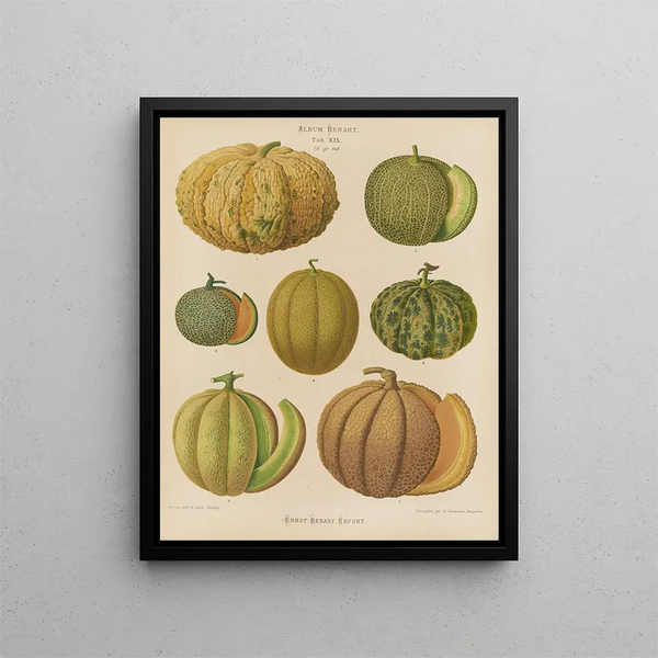 Melons Painting - Ernst Benary — framed artwork on a wall
