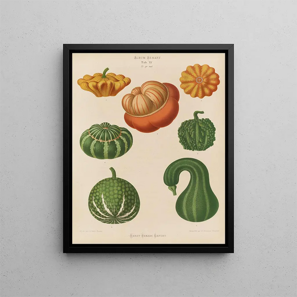Ornamental gourds painting - Ernst Benary — framed artwork on a wall