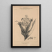 Flore d'Amérique Pl31 - Étienne Denisse — ingelijst kunstwerk aan de muur