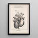 Flore d'Amérique Pl47 - Étienne Denisse — ingelijst kunstwerk aan de muur