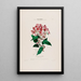 Flore d'Amérique dessinée d'après nature sur les lieux Pl005 - Étienne Denisse — ingelijst kunstwerk aan de muur