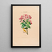 Flore d'Amérique dessinée d'après nature sur les lieux Pl013 - Étienne Denisse — ingelijst kunstwerk aan de muur