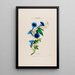 Flore d'Amérique dessinée d'après nature sur les lieux Pl014 - Étienne Denisse — ingelijst kunstwerk aan de muur