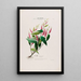 Flore d'Amérique dessinée d'après nature sur les lieux Pl016 - Étienne Denisse — ingelijst kunstwerk aan de muur