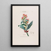 Flore d'Amérique dessinée d'après nature sur les lieux Pl017 - Étienne Denisse — ingelijst kunstwerk aan de muur