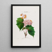 Flore d'Amérique dessinée d'après nature sur les lieux Pl030 - Étienne Denisse — ingelijst kunstwerk aan de muur
