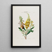 Flore d'Amérique dessinée d'après nature sur les lieux Pl035 - Étienne Denisse — ingelijst kunstwerk aan de muur