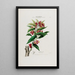 Flore d'Amérique dessinée d'après nature sur les lieux Pl039 - Étienne Denisse — ingelijst kunstwerk aan de muur