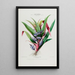 Flore d'Amérique dessinée d'après nature sur les lieux Pl044 - Étienne Denisse — ingelijst kunstwerk aan de muur