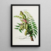 Flore d'Amérique dessinée d'après nature sur les lieux Pl045 - Étienne Denisse — ingelijst kunstwerk aan de muur
