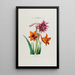 Flore d'Amérique dessinée d'après nature sur les lieux Pl049 - Étienne Denisse — ingelijst kunstwerk aan de muur