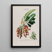 Flore d'Amérique dessinée d'après nature sur les lieux Pl138 - Étienne Denisse — ingelijst kunstwerk aan de muur