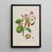 Flore d'Amérique dessinée d'après nature sur les lieux Pl143 - Étienne Denisse — ingelijst kunstwerk aan de muur
