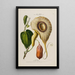 Flore d'Amérique dessinée d'après nature sur les lieux Pl150 - Étienne Denisse — ingelijst kunstwerk aan de muur