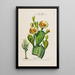 Flore d'Amérique dessinée d'après nature sur les lieux Pl168 - Étienne Denisse — ingelijst kunstwerk aan de muur