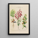 Flore d'Amérique dessinée d'après nature sur les lieux Pl193 - Étienne Denisse — ingelijst kunstwerk aan de muur