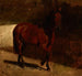 Study of a Chestnut Horse - Maksymilian Gierymski — artwork view