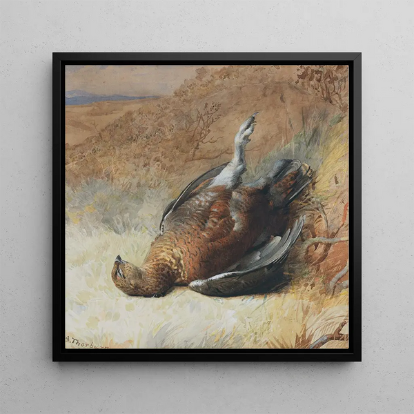 Étude d'un tétras - Archibald Thorburn
