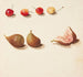 Study of cherries and figs - Johanna Fosie — artwork view