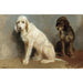Reproduction of the painting Study of Two Dogs - Rosa Bonheur