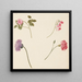 Flower Study - Johanna Fosie — framed artwork on a wall