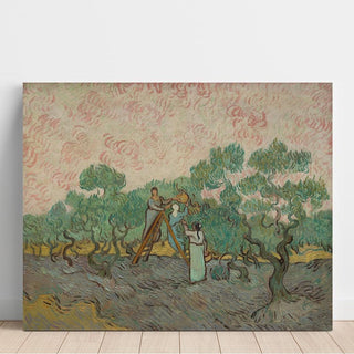 Reproduction Femmes ramassant des olives - Vincent van Gogh